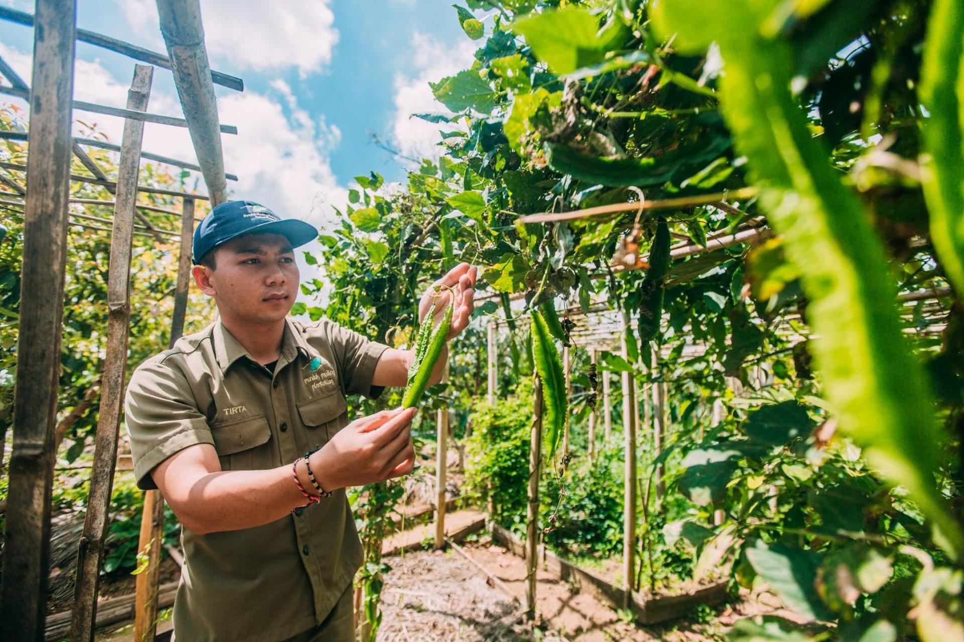Munduk Moding Plantation Nature Resort Exterior photo A farmer in Vietnam