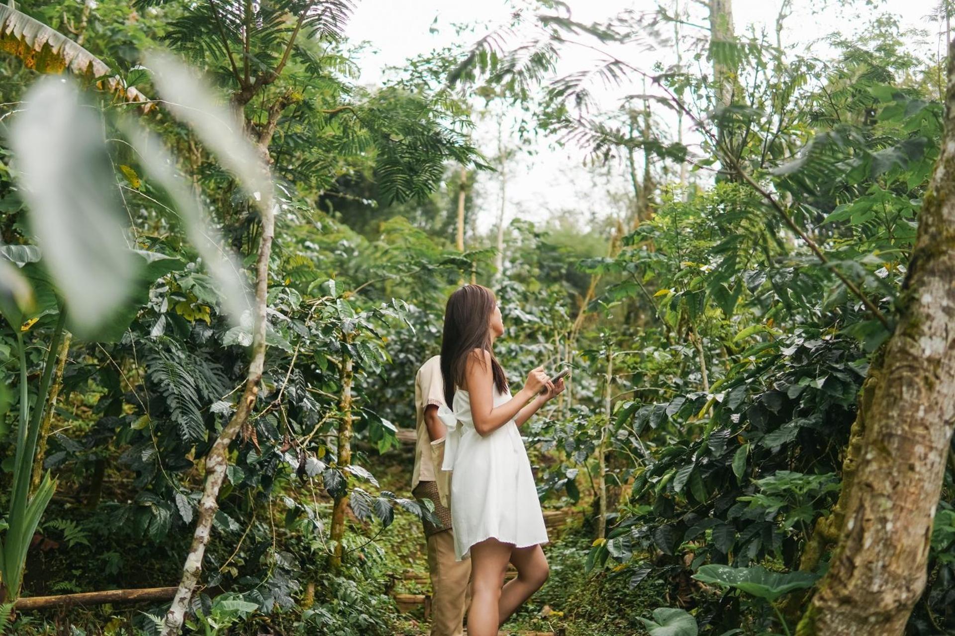 Munduk Moding Plantation Nature Resort Exterior photo A woman in a white dress